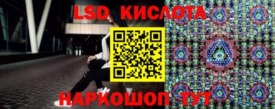 spice Новодвинск