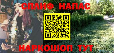 spice Новодвинск