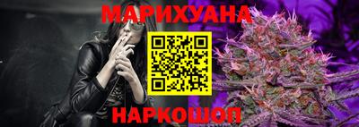 прущие крисы Новозыбков