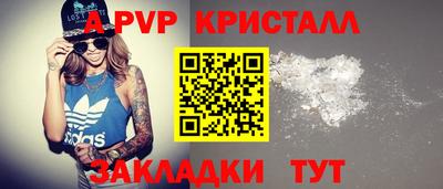 spice Новодвинск